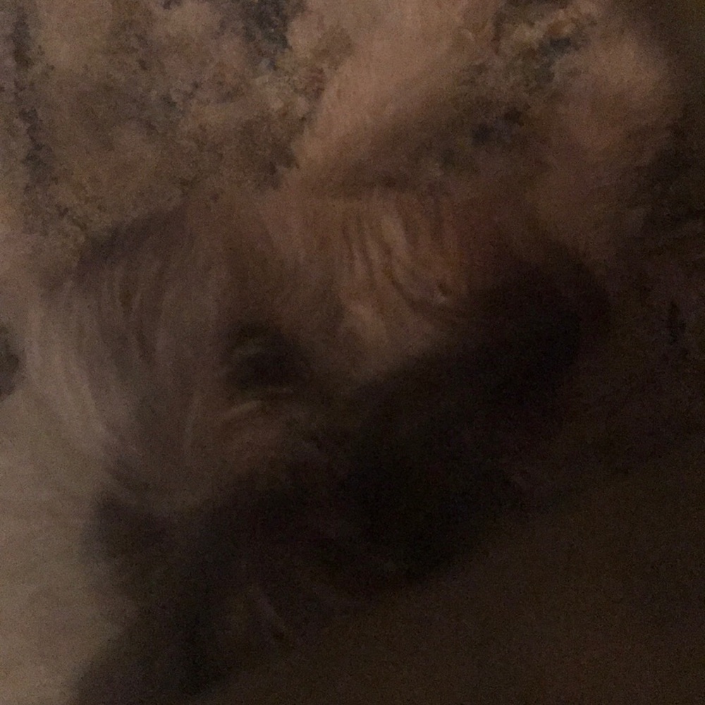 Meet your Posher, Brenda